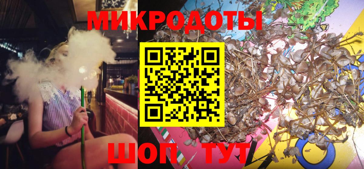 Псилоцибиновые грибы MAGIC MUSHROOMS Камень-на-Оби